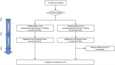 Evaluation of efficacy and safety of Lacticaseibacillus rhamnosus LRa05 in the eradication of Helicobacter pylori: a randomized, double-blind, placebo-controlled trial